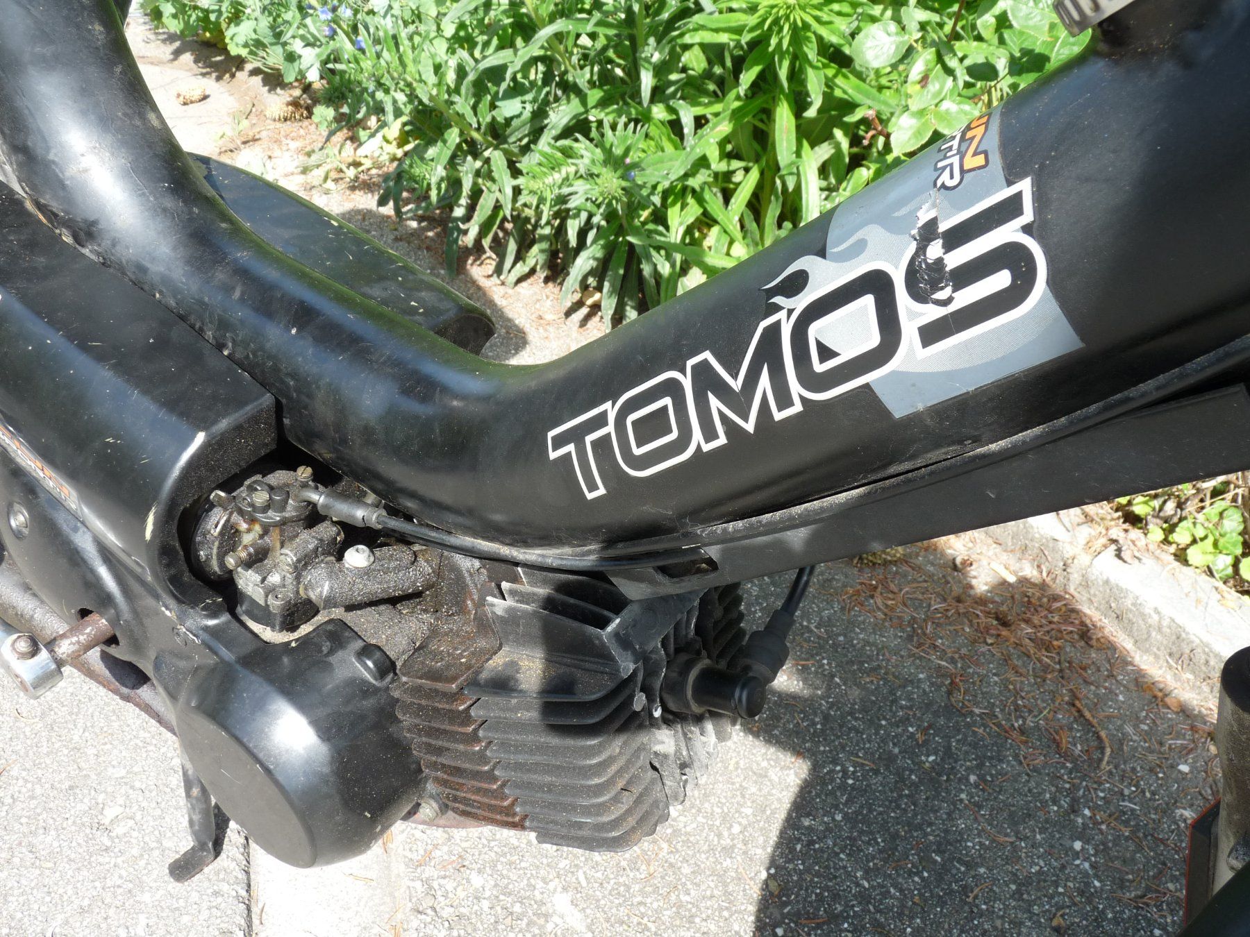 Tomos Ciclomotori: Tomos FunSport mit Ausweis – Usato da huttwil venduto da Pakora 7