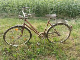 Retro Velo für Bastler der Marke Mondia