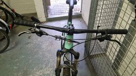 Bianchi grizzly 29.2