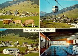 SÖRENBERG Kühe - Bergbahn - Gondelbahn