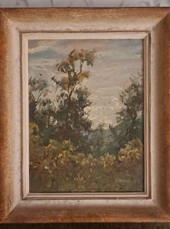 Dipinti: Gigi Comolli - Tableau paysage vintage – Usato da Bellerive VD venduto da tba_y8hx