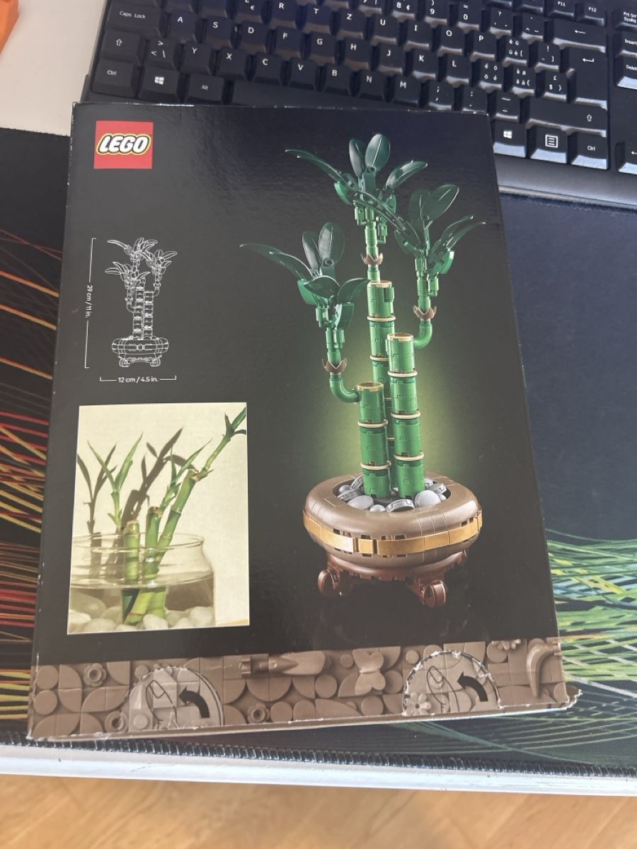 Lego Jeux de construction: Lego Botanic  Lucky Bamboo – D'occasion à Zürich par Fuerstmar84 4