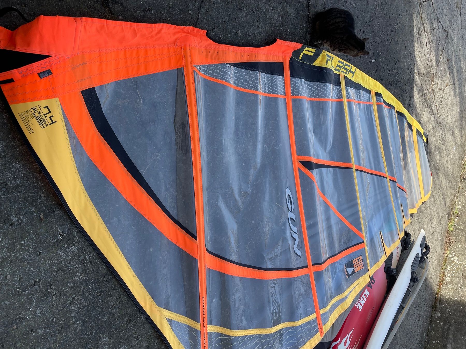 Surfboards & Schwimmbrette: Windsurf Set – Gebraucht aus Zollikofen von suesam 3