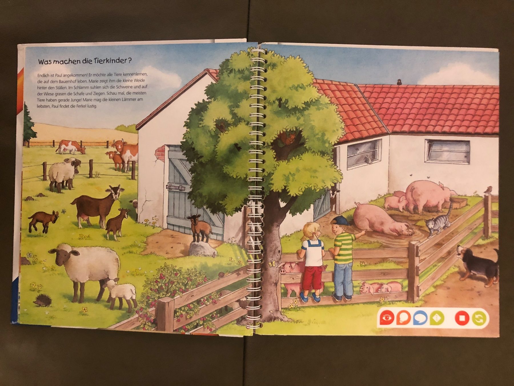 Bücher: Buch Tiptoi Entdecke den Bauernhof – Gebraucht aus Nunningen von anclaudia 2