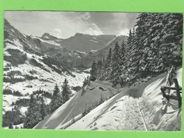 Adelboden, Hörnliweg, Steghorn u. Wildstrubel