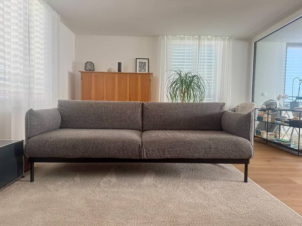 Sofas: IKEA ÄPPLARYD 3-Sitzer Sofa – Gebraucht aus Zürich von zsilvio80