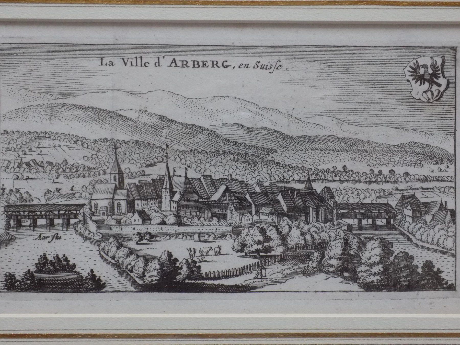 Incisioni: Aarberg von Scheuchzer selten – Usato da Risch venduto da Rischli15 2