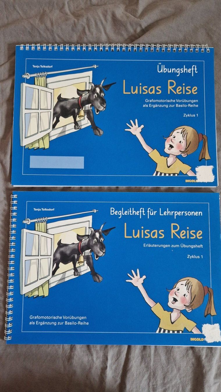 Libri: Grafomotorische Übungen – Usato da Rupperswil venduto da RoRo04