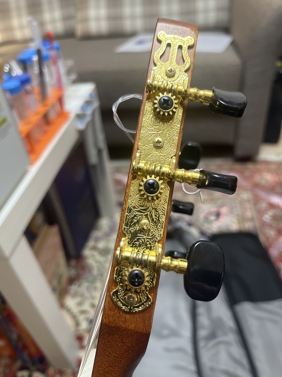 Strumenti musicali: Gitarre für Kinder – Nuovo (secondo la descrizione) da Oberwil BL venduto da gohari 4