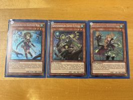 Yu-Gi-Oh! Karte: Geistungeheuer-Zähmer Bundle, Top!