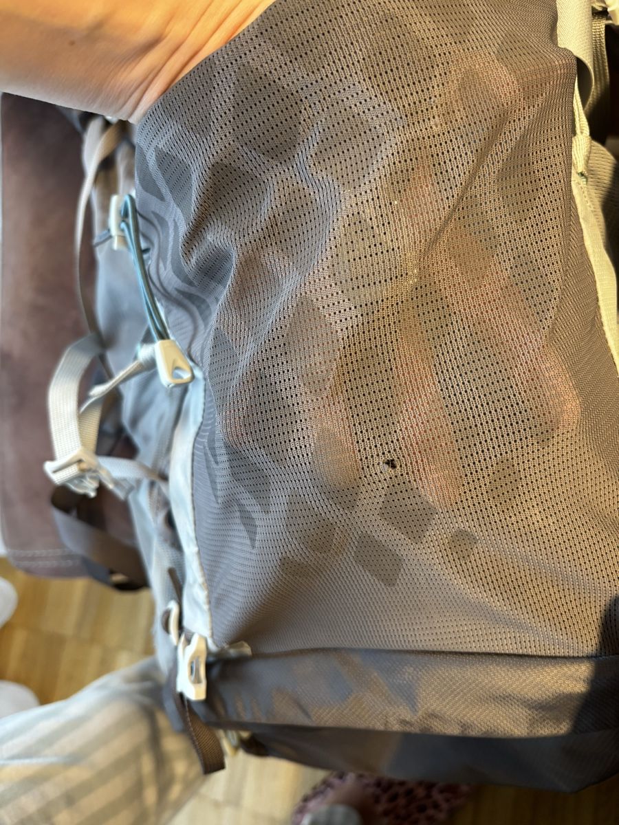 Gregory Zaini: Rucksack – Usato da Ebikon venduto da ala_ycz5 8