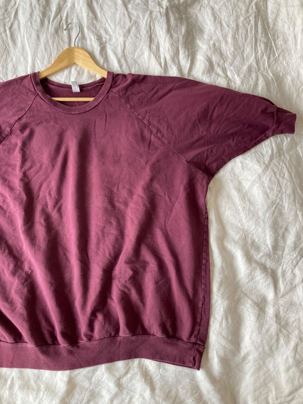 Pulls & Sweat-shirts: Pull American Apparel – D'occasion à Genève par cri_b_14