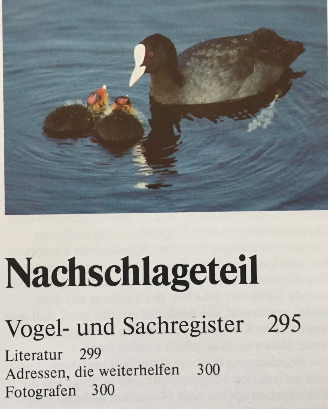 Libri: Fotoatlas der Vögel – Nuovo (secondo la descrizione) da Zürich venduto da Buechi49 3
