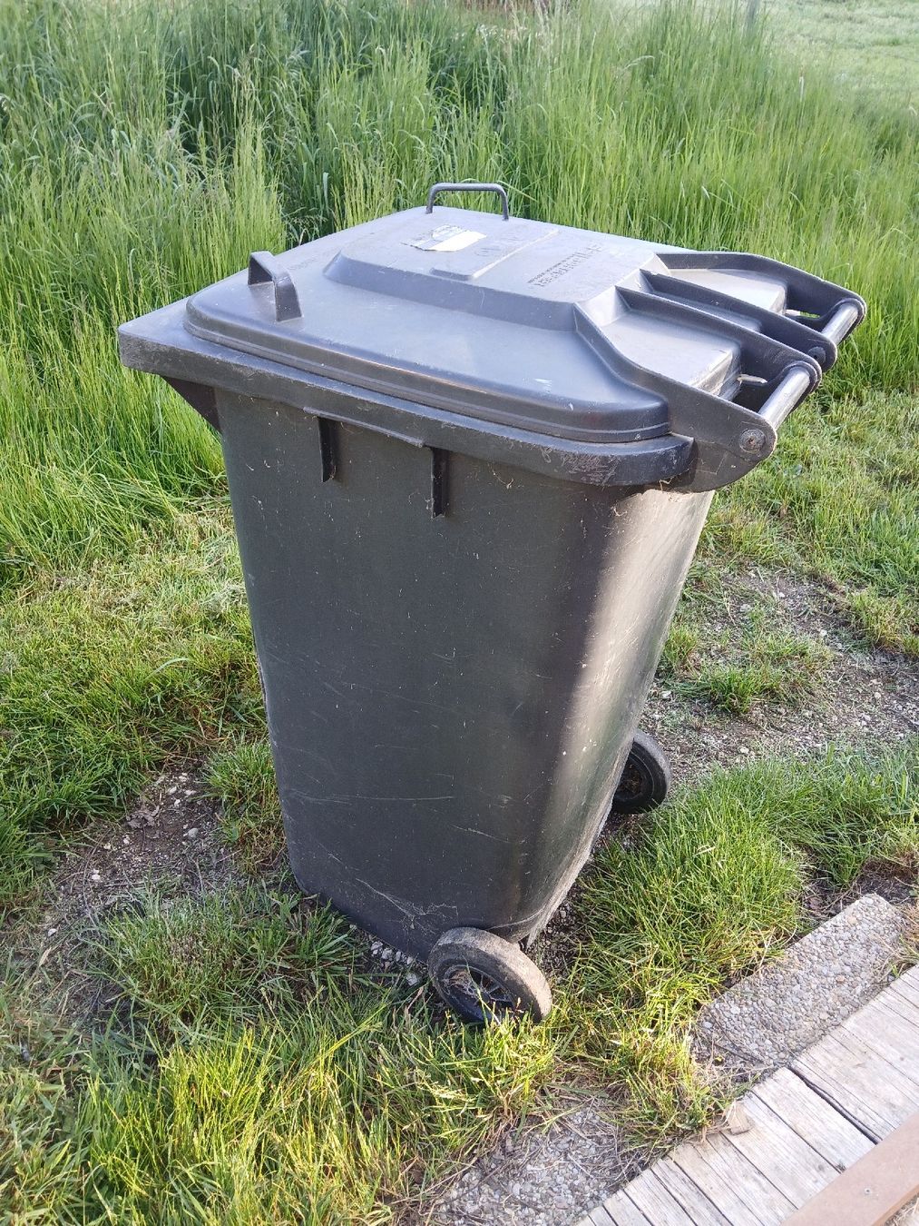 Sonstiges für Büro & Gewerbe: Graue Mülltonne von Schäfer – Gebraucht aus Welschenrohr von Roli226 2