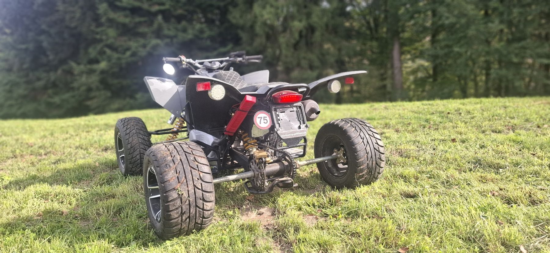 Smc (Sm) ATV / Quad: Quad SMC Trasher 320 SM – Usato da Pfäffikon SZ venduto da Msteiner1402 4
