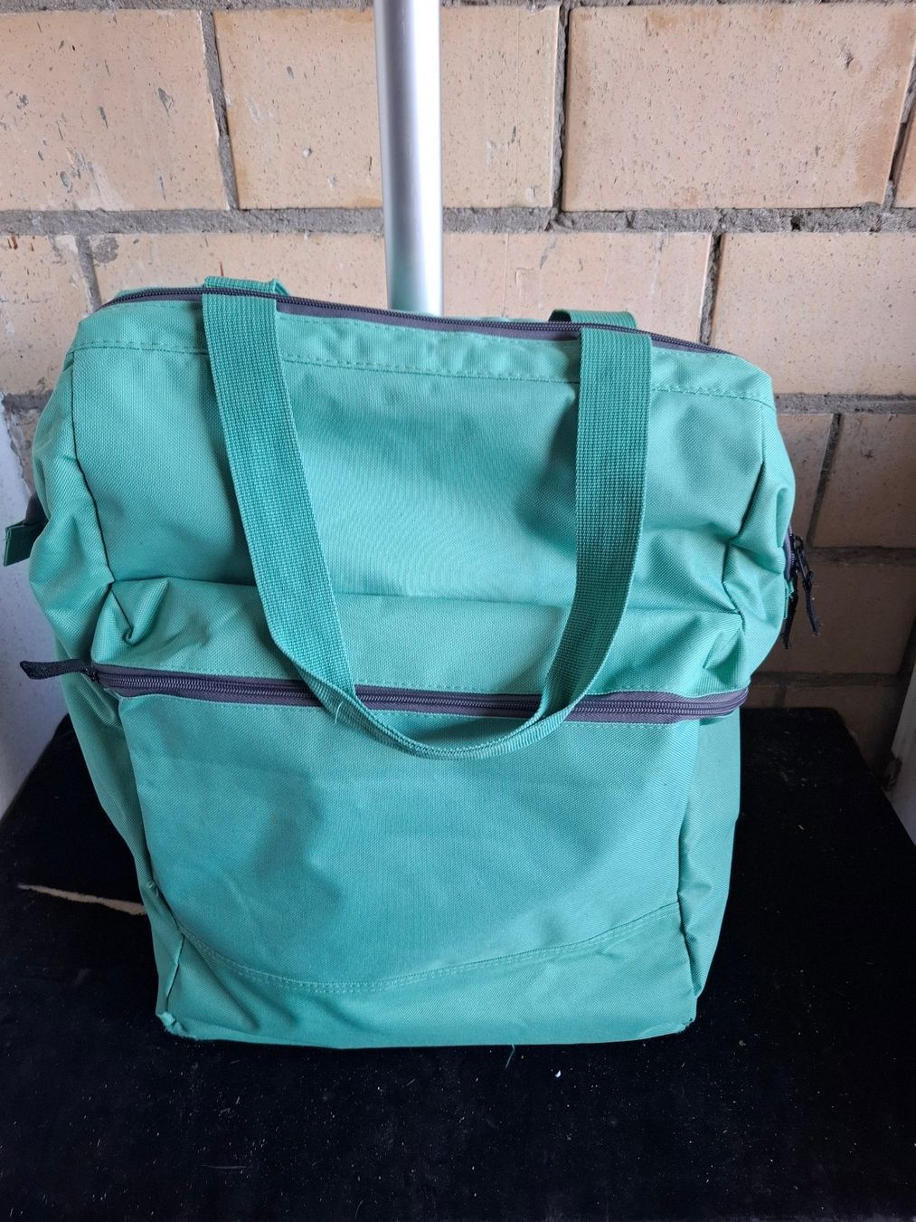 Borse: Rolltasche mit Teleskopgriff gruen gute Zustand – Usato da Schönholzerswilen venduto da clyde123 1