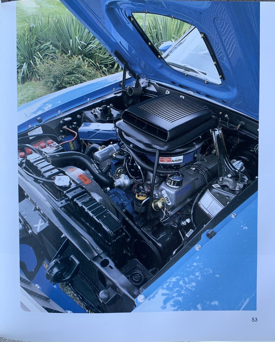 Libri: Buch Ford Mustang – Usato da Ebnat-Kappel venduto da pourlemerite 1