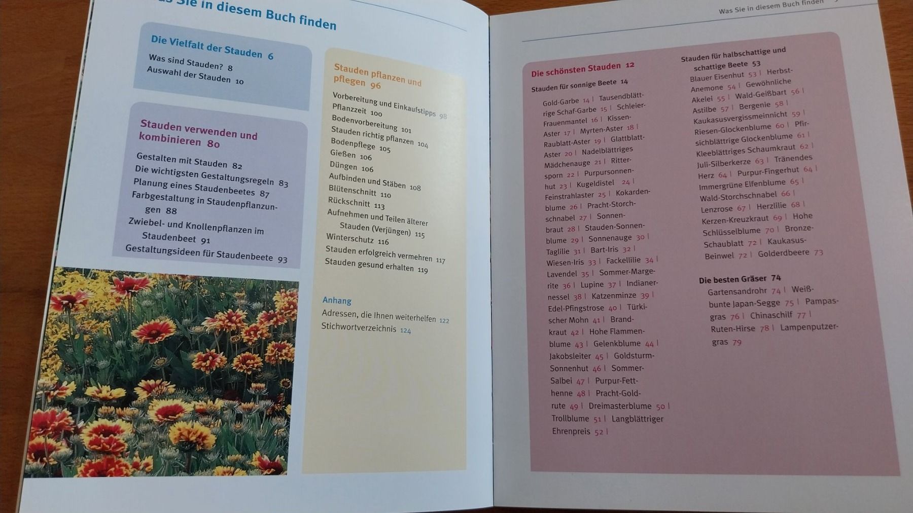 Libri: Buch Blütenstauden: Die schönsten Arten – Usato da Staufen venduto da Sunsetranch 2