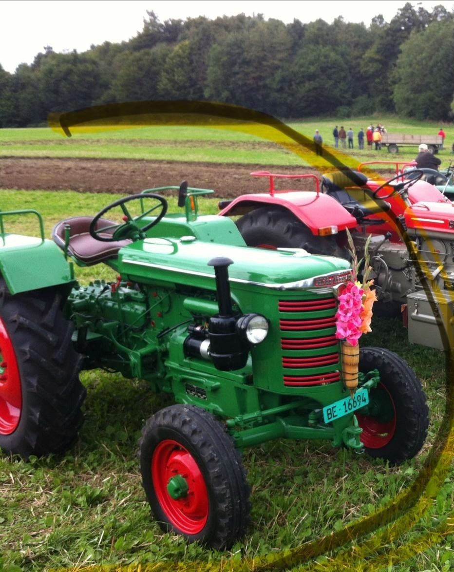 Hürlimann Tracteurs: Traktor Hürlimann D80 super SPE – D'occasion à Russikon par Crepwa 1