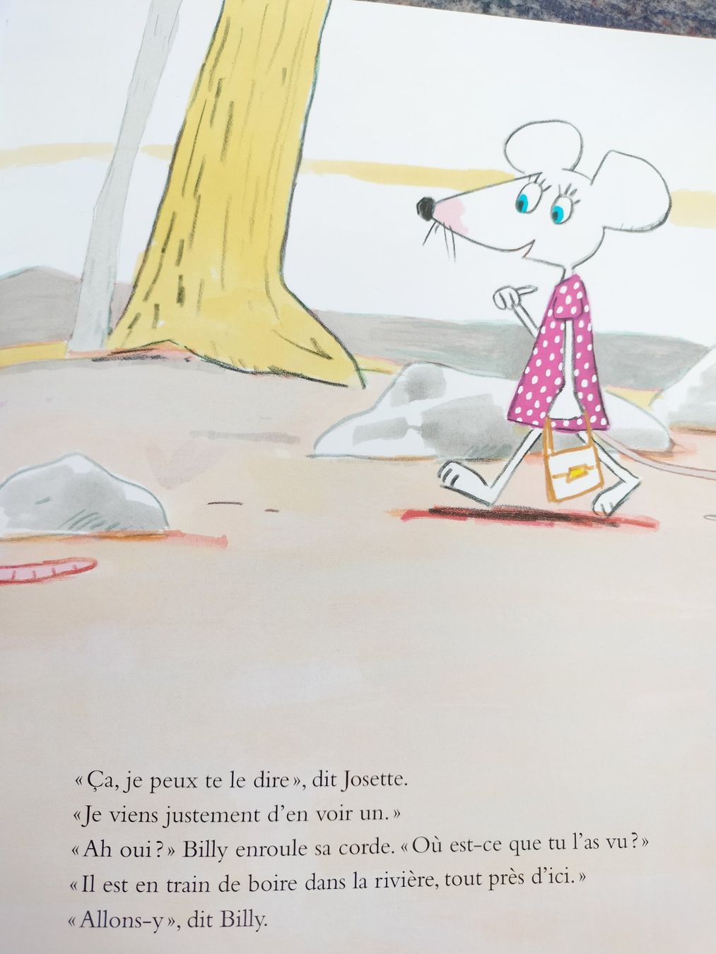 Libri: Le bison Catharina Valckx – Usato da Cortaillod venduto da rozinna 4