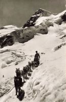 Jungfraubahn jungfraujoch Die Schlittenhunde
