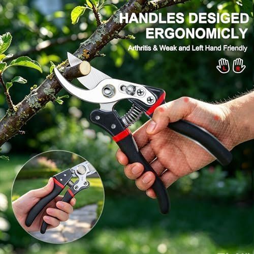 Tutti gli attrezzi: Profi Gartenschere SK-5 Stahl Rostfreie Astschere Äste – Nuovo e nell'imballaggio originale da Hundwil venduto da pak_7zvn 5