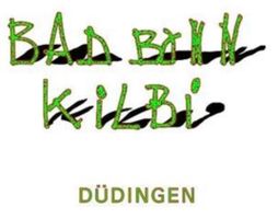 ⚠️ 2 TOP Tickets  BAD BONN KILBI  Freitag 4.9.26 Düdingen