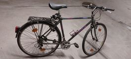 Fahrrad Wheeler Trekking