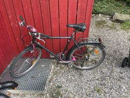 Velo