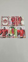 Cartes Panini Adrenalyn XL Canada 2026 Collection Football