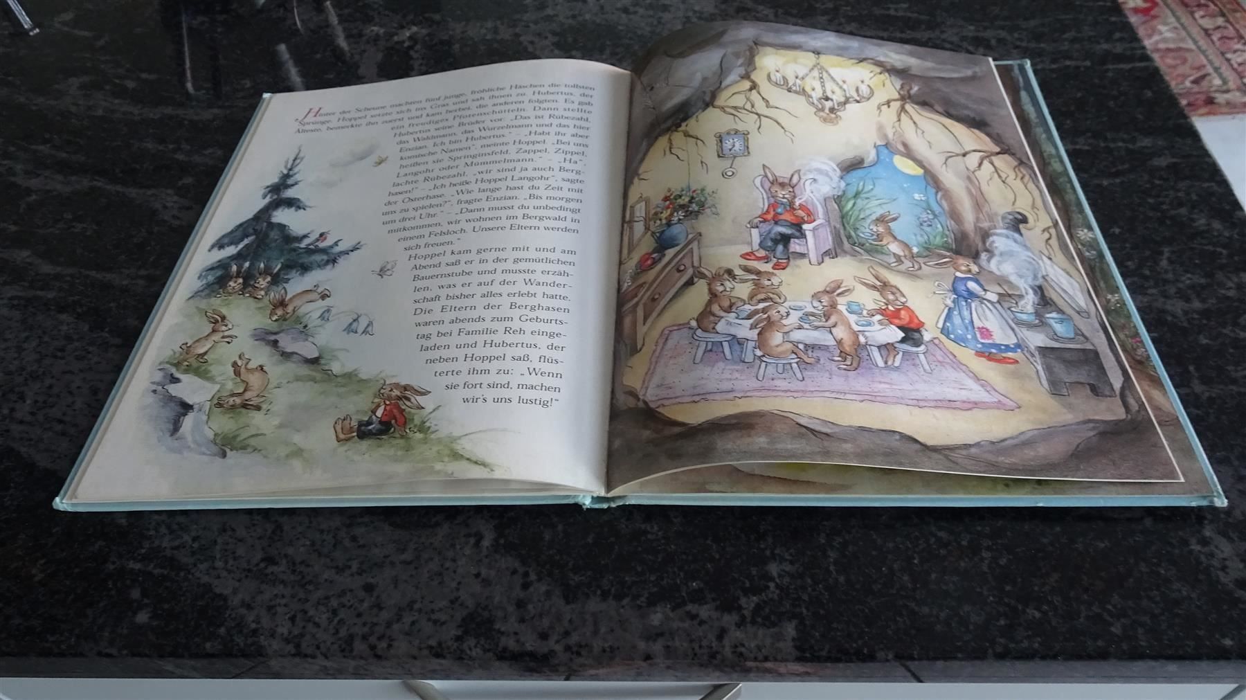 Libri: Hoppel Langohr   von Lore Hummel   1998 – Usato da Zürich venduto da Roulet 8