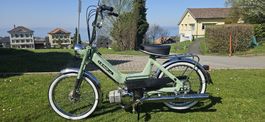 Puch Maxi N