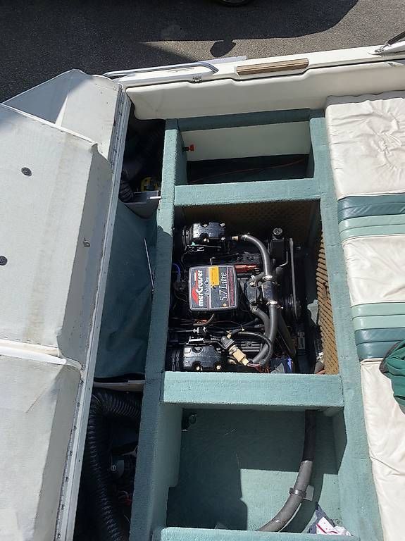 Sea Ray Barche: Sea Ray zu verkaufen – Usato da Mollis venduto da schewi4326 3