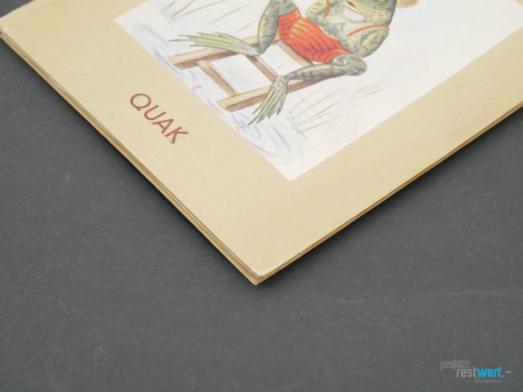 Bücher: ALFRED BRUGGMANN Quak – Gebraucht aus Winterthur von Restwert_Winterthur 3