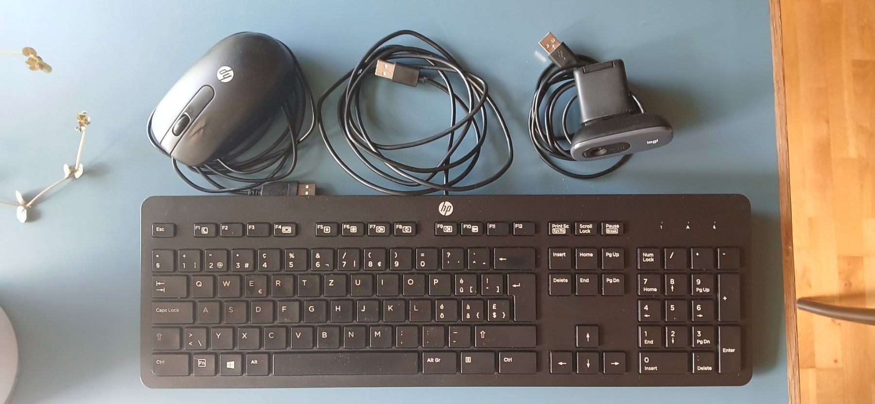Hewlett Packard Docking station: Homeoffice: Dockingstation, 2 Bildschirme, Kamera – Usato da Winterthur venduto da ste_6ggl 2