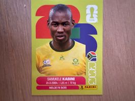 Panini 2026 RSA 8