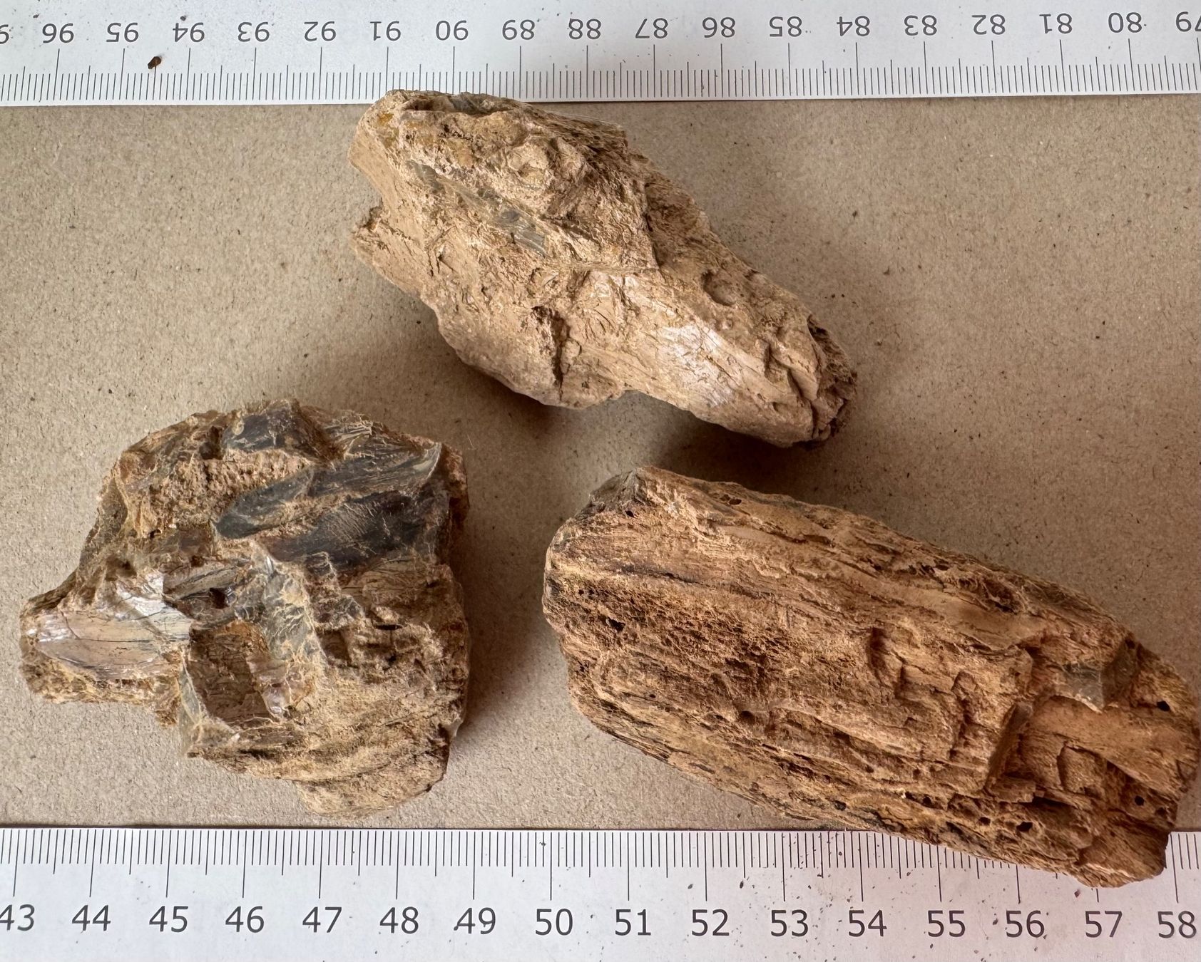 Fossilien: Bernstein  Amber   grosse Brocken    AMBER  aus Sumatra – Neu und originalverpackt aus Leuggern von gemshow 7
