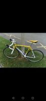 Rennvelo Peugeot Teamline