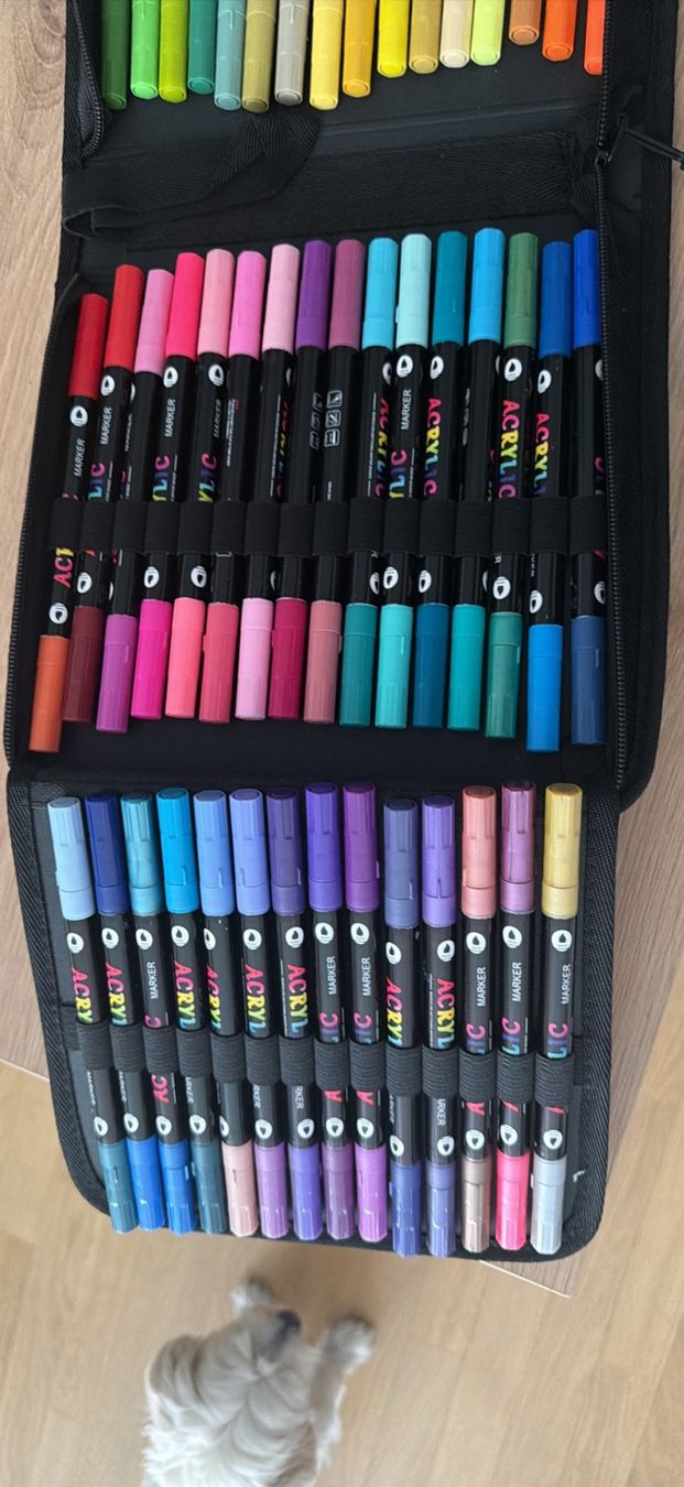 Penna & Evidenziatori: Feutre acrylique marker 96 – Usato da Granges-paccot venduto da lau_9z8q