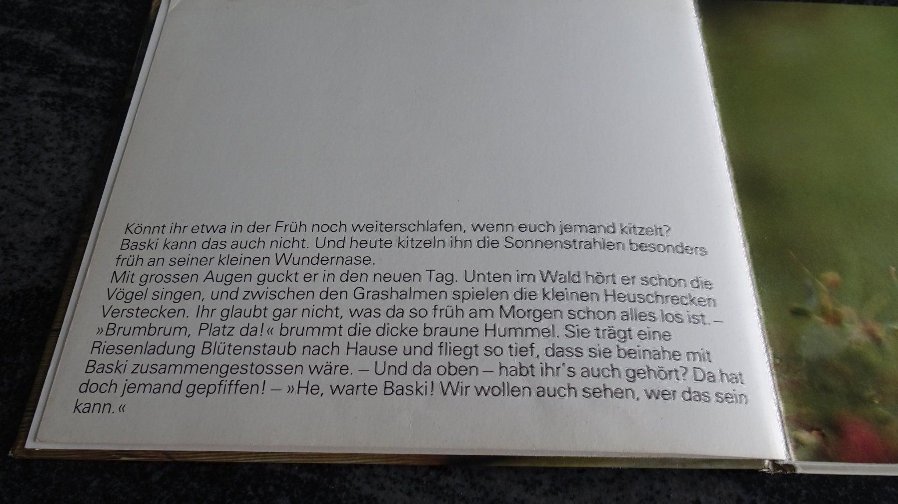 Libri: BASIK AUF DER ALP  JAHR 1979 – Usato da Zürich venduto da Roulet 4