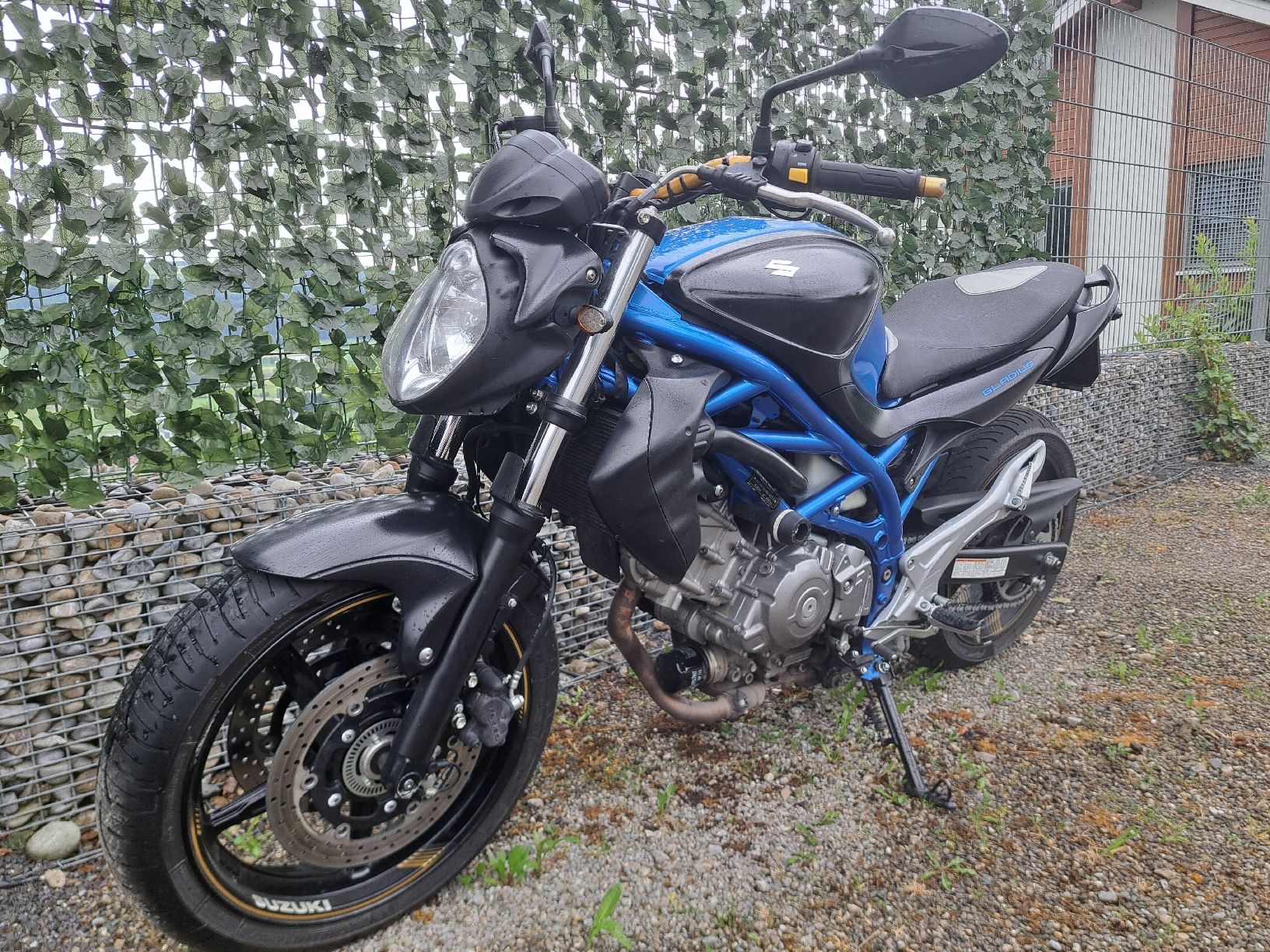 Suzuki Strada: Suzuki SFV 650 A – Usato da Hitzkirch venduto da miguman72 8