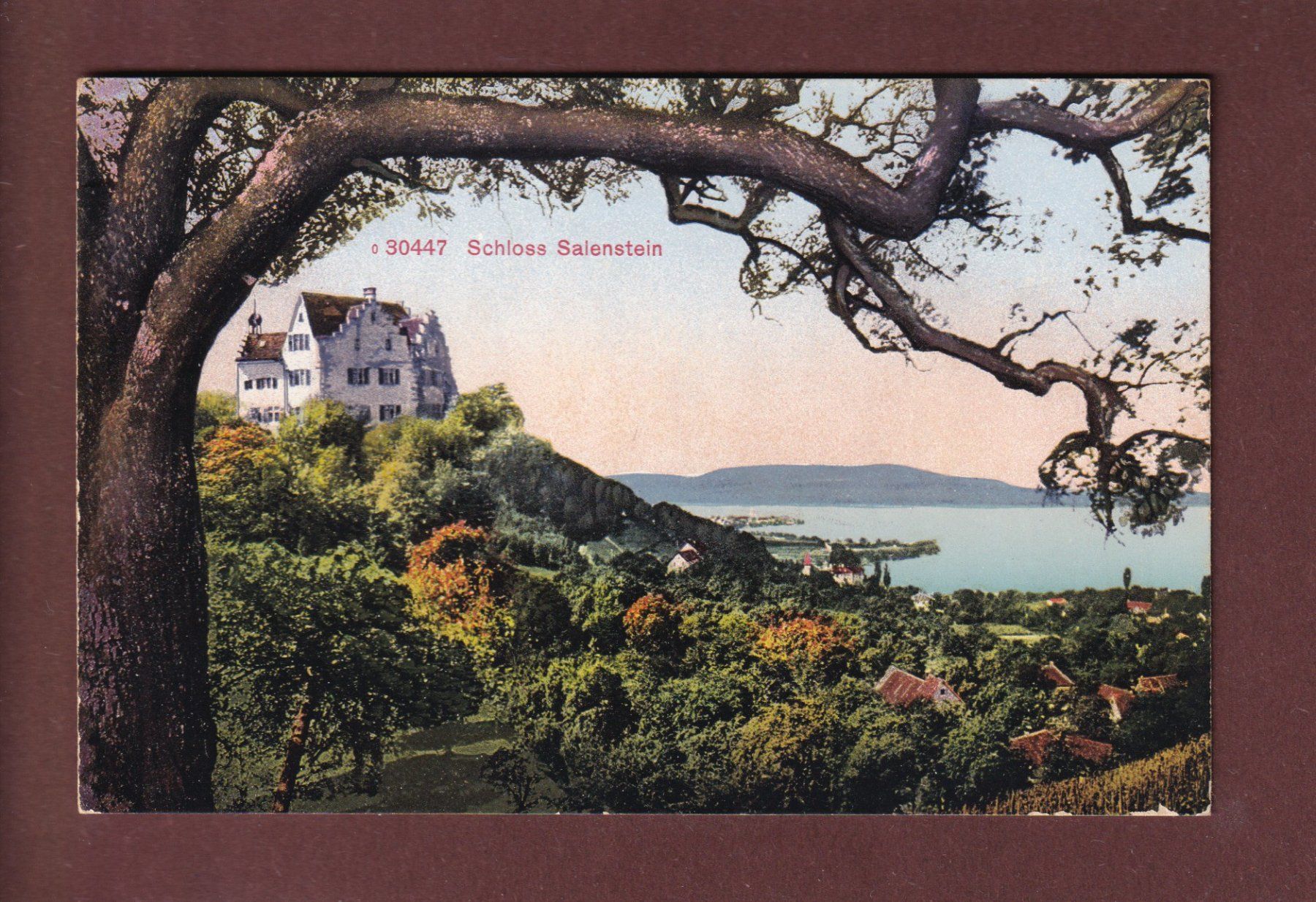 Cartoline postali: SCHLOSS SALENSTEIN – Usato da Pully venduto da nicecards