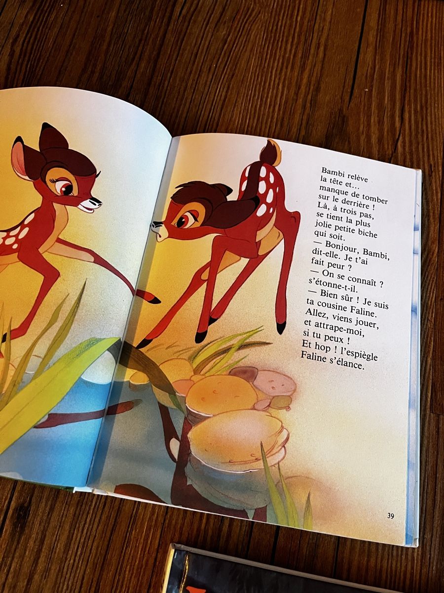 Libri: 10 livres Disney, 10 Bücher – Usato da Gstaad venduto da BergUndSchnee 3