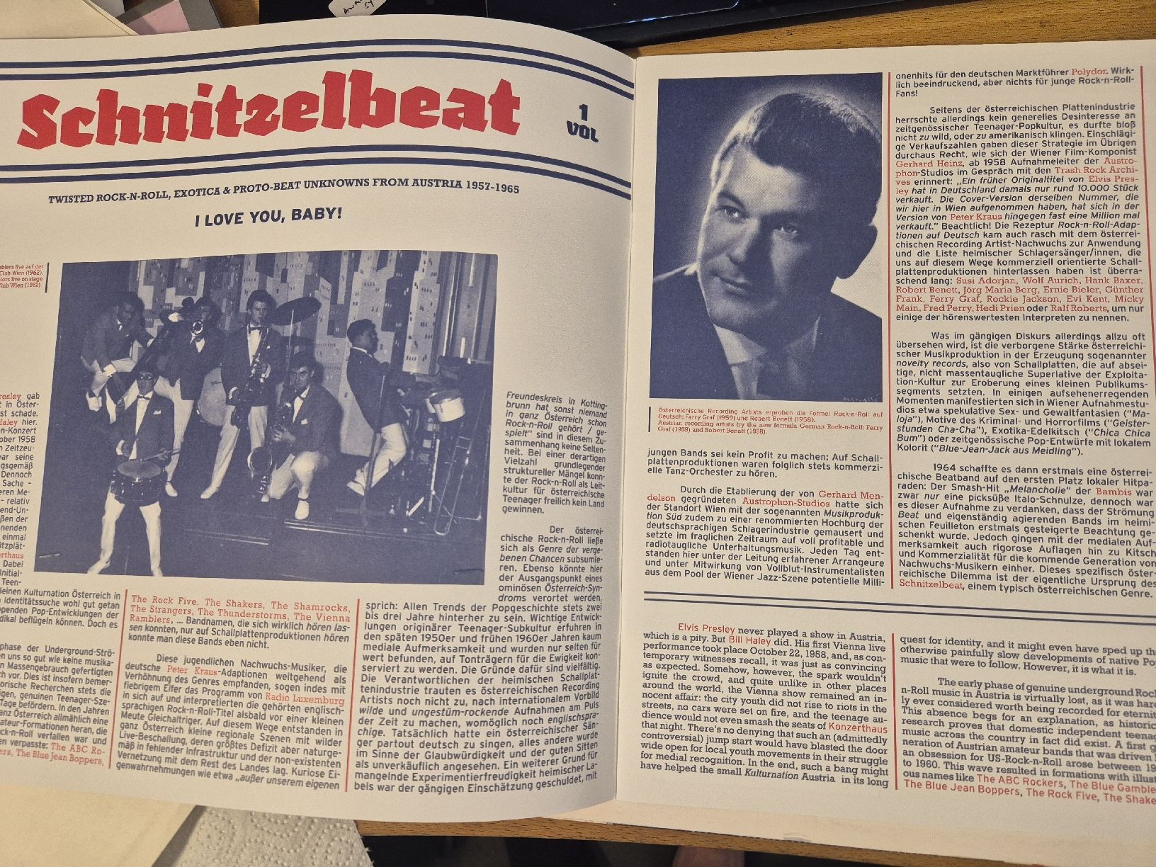 Vinyles: Schnitzelbeat Vol. 1 LP – D'occasion à Thun par Kissthis 2