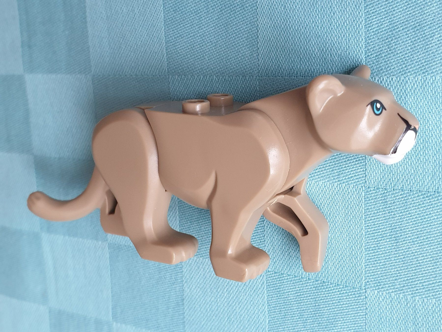 Lego Giocattoli: Puma Berglöwe LEGO Tier – Usato da Mörschwil venduto da spirspi 3