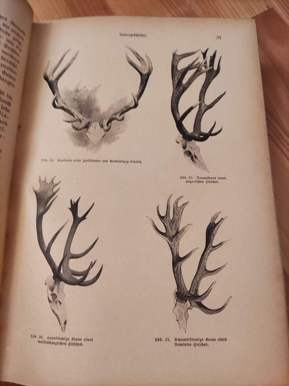 Bücher: Die hohe Jagd 1920 Paray Berlin 4. Auflage – Gebraucht aus Solothurn von Csw1 8