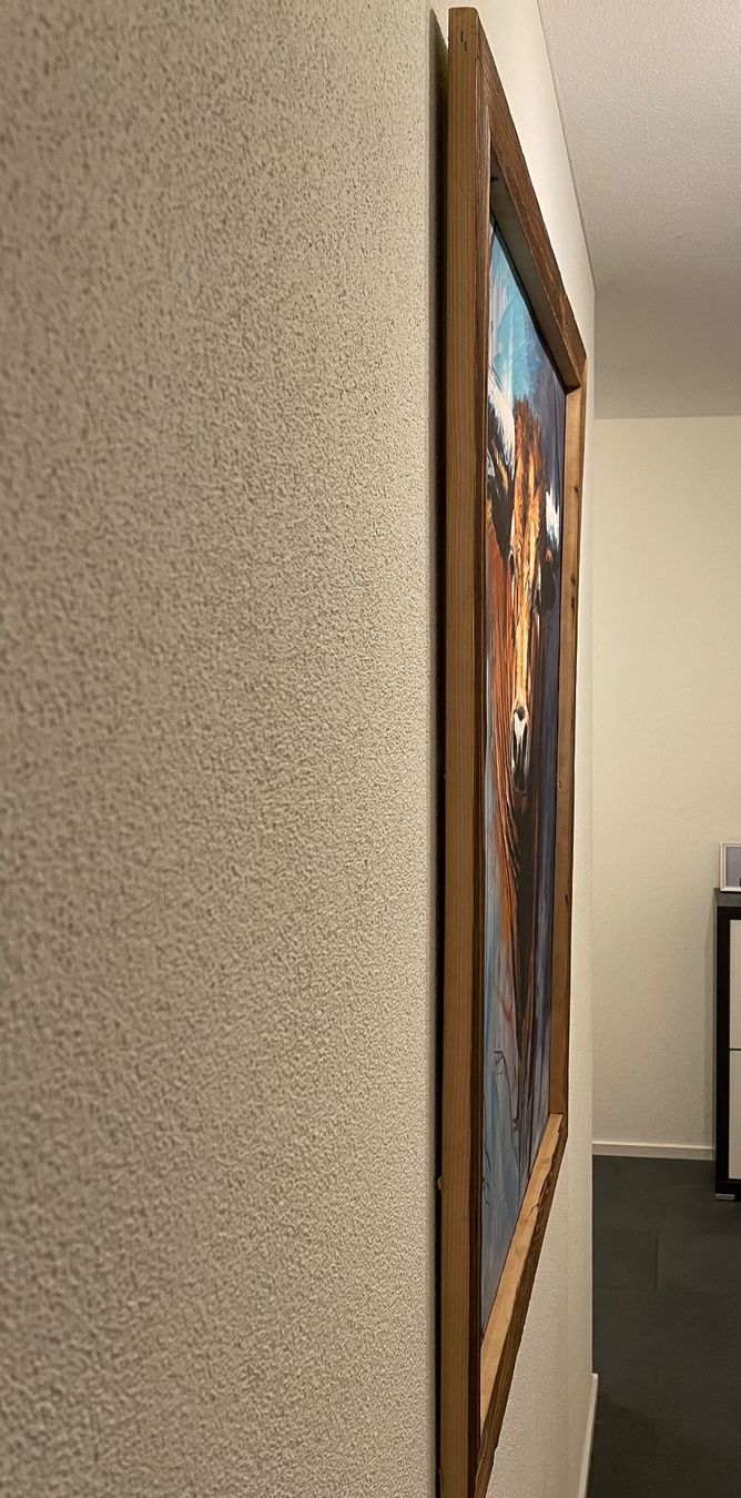 Foto & Immagini: Bild Stier Kunstdruck auf Leinwand, Holzrahmen – Usato da Brunnen venduto da Holz-style 6