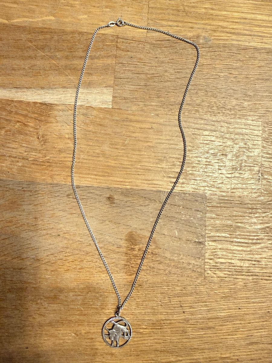 Catenine: Kette mit Anhänger Stier 800 Silber – Usato da Goldach venduto da Messerguru 1
