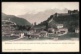 AK Bellinzona, Panorama