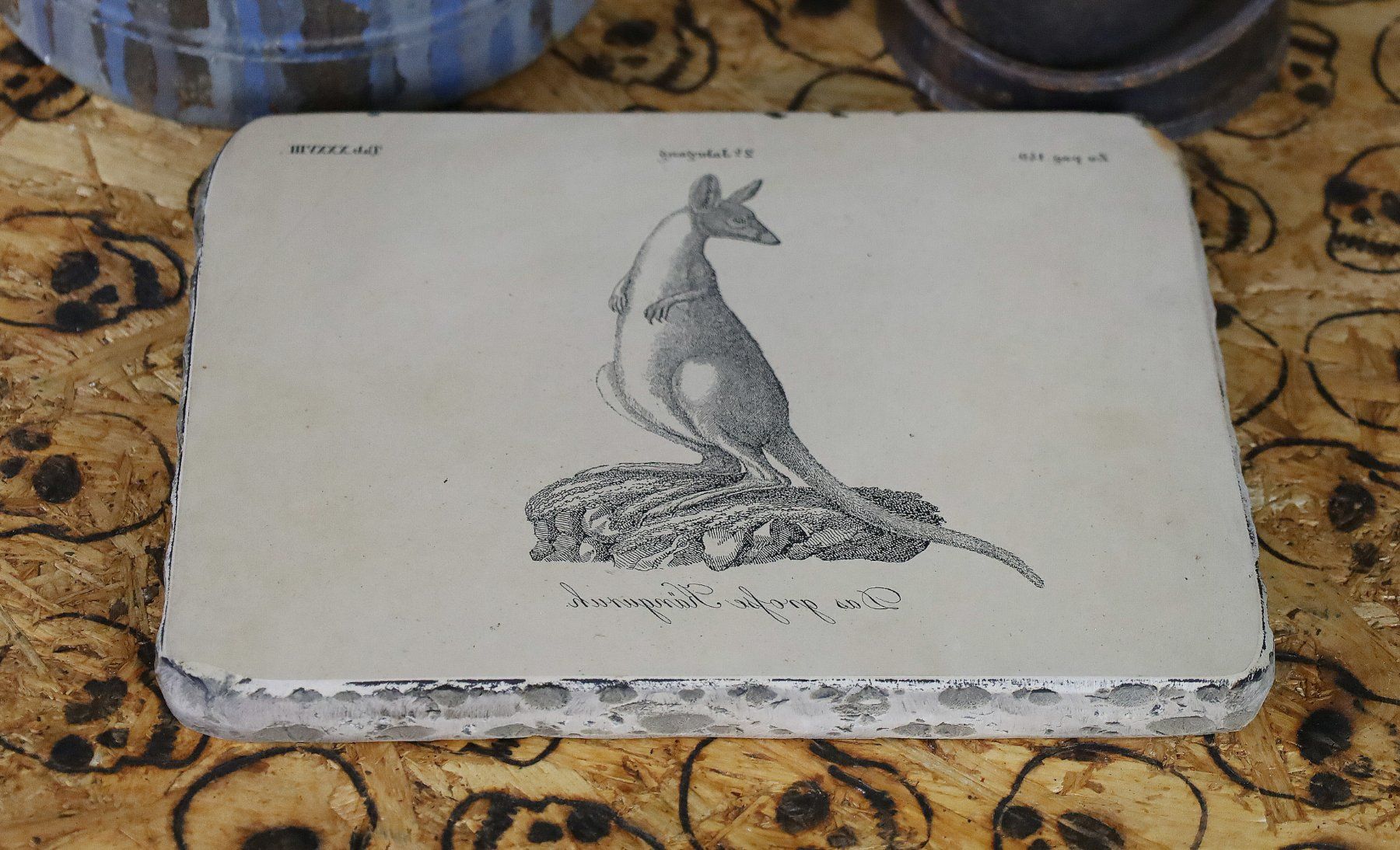 Grafica & Litografie: Lithostein, Lithographie "Das grosse Känguruh" – Usato da Birrwil venduto da brandschatz_birrwil 4